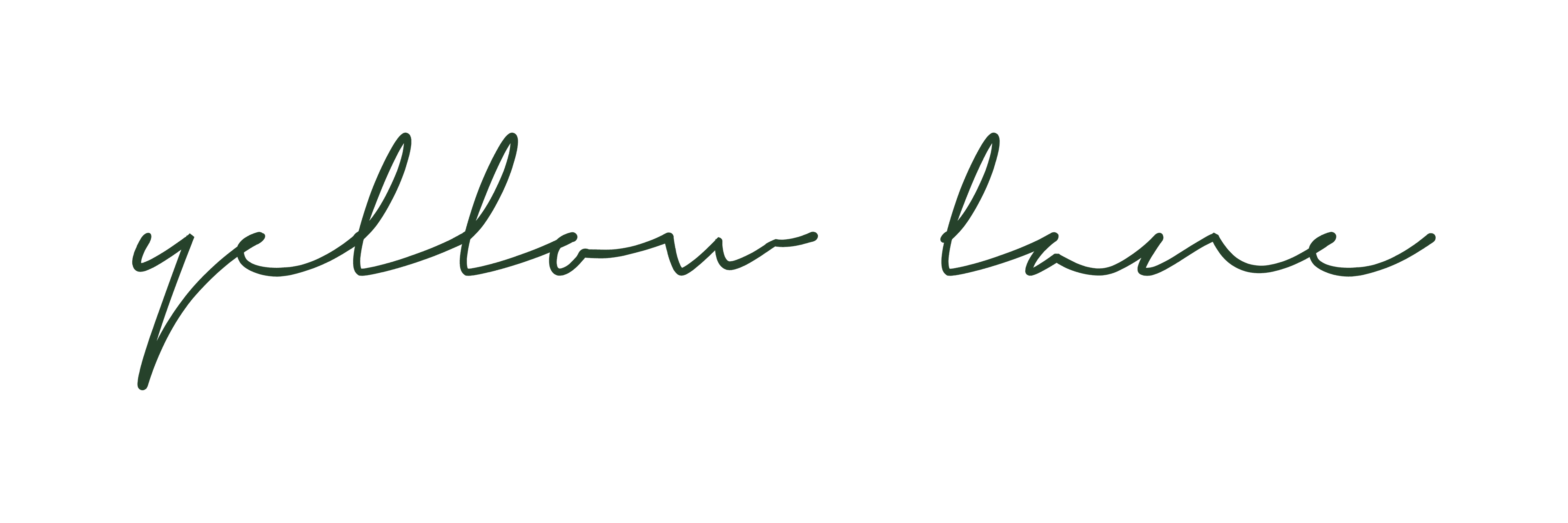Yummi Umami Ltd. logo